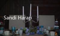 Sandi Harap BPJS Ketenagakerjaan Berikan Manfaat Bagi Ekonomi Mikro