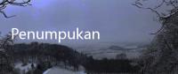 Penumpukan Lendir di Paru